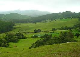 Ooty_hotels